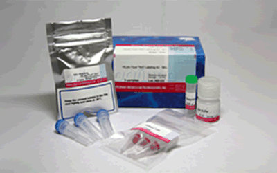 抗體?タンパク質(zhì)標(biāo)識(shí)キット HiLyte Fluor&trade; 555 Labeling Kit - NH2　