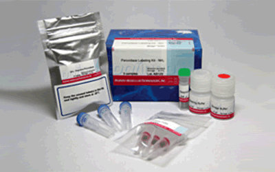 抗體?タンパク質標識キット Peroxidase Labeling Kit - NH2　