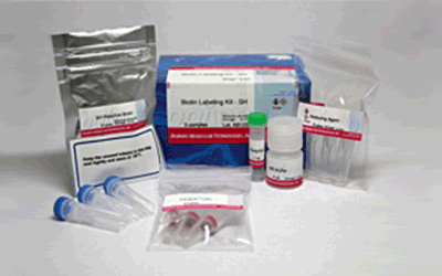 抗體?タンパク質(zhì)標(biāo)識キット Biotin Labeling Kit - SH　