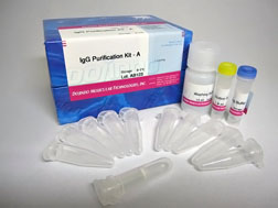 抗體?タンパク質(zhì)標(biāo)識キット Biotin Labeling Kit - SH　