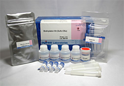 抗體?タンパク質(zhì)標(biāo)識キット Biotinylation Kit (Sulfo-OSu)