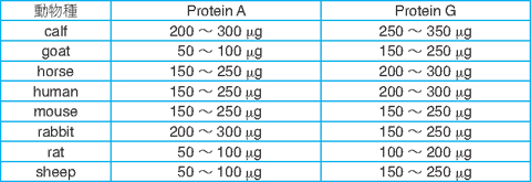 抗體精製キット IgG Purification Kit - G　