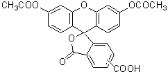 菌蛍光染色用色素 -Bacstain- PI solution　
