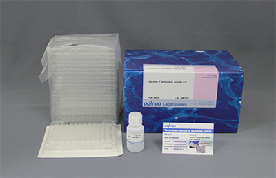バイオフィルム形成量?形成阻害測(cè)定キット Biofilm Formation Assay Kit