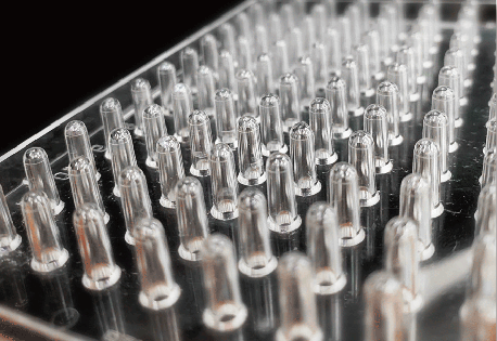 バイオフィルム形成量?形成阻害測(cè)定キット Biofilm Formation Assay Kit　