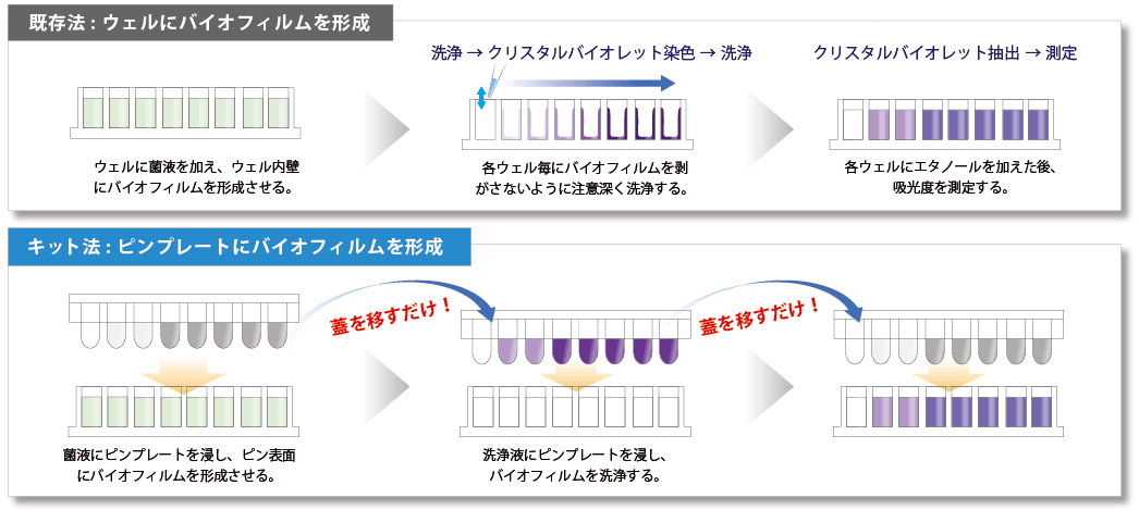 バイオフィルム形成量?形成阻害測(cè)定キット Biofilm Formation Assay Kit　