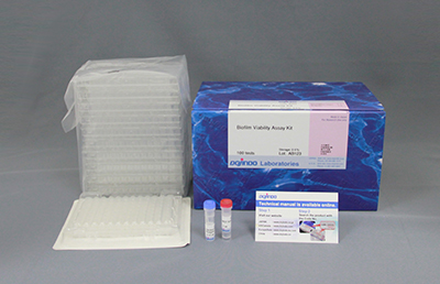 バイオフィルム形成量?形成阻害測(cè)定キット Biofilm Formation Assay Kit　