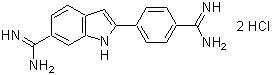 核小體蛍光染色 Nucleolus Bright Red　
