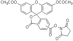 生細(xì)胞染色用色素 -Cellstain®- CFSE
