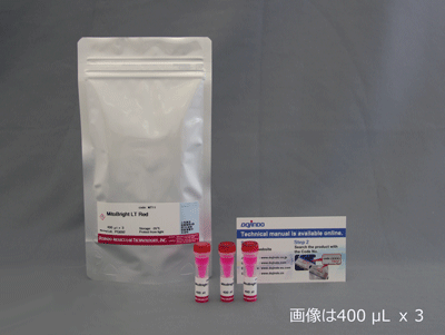 エンドサイトーシス検出試薬 ECGreen-Endocytosis Detection　