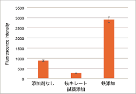 細(xì)胞內(nèi)鉄イオン測(cè)定試薬 FerroOrange　