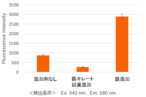 細(xì)胞內(nèi)鉄イオン測(cè)定試薬 FerroOrange　
