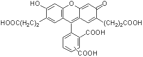細(xì)胞內(nèi)pH測定試薬 BCECF