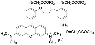カルシウムイオン測(cè)定試薬 Rhod 2-AM