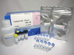 細胞內(nèi)カルシウムイオン測定キット Calcium Kit - Fluo 4