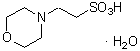 生化學(xué)用緩衝剤 MES 分子生物學(xué)用