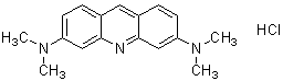 核染色用色素 -Cellstain®- AO solution