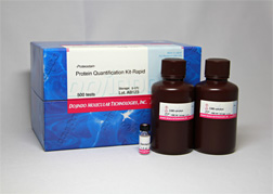 タンパク質(zhì)定量キット -Proteostain-Protein Quantification Kit-Rapid　